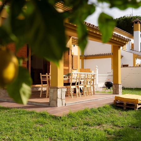 Namawa Surfhouse Hostel Chiclana de la Frontera Luaran gambar
