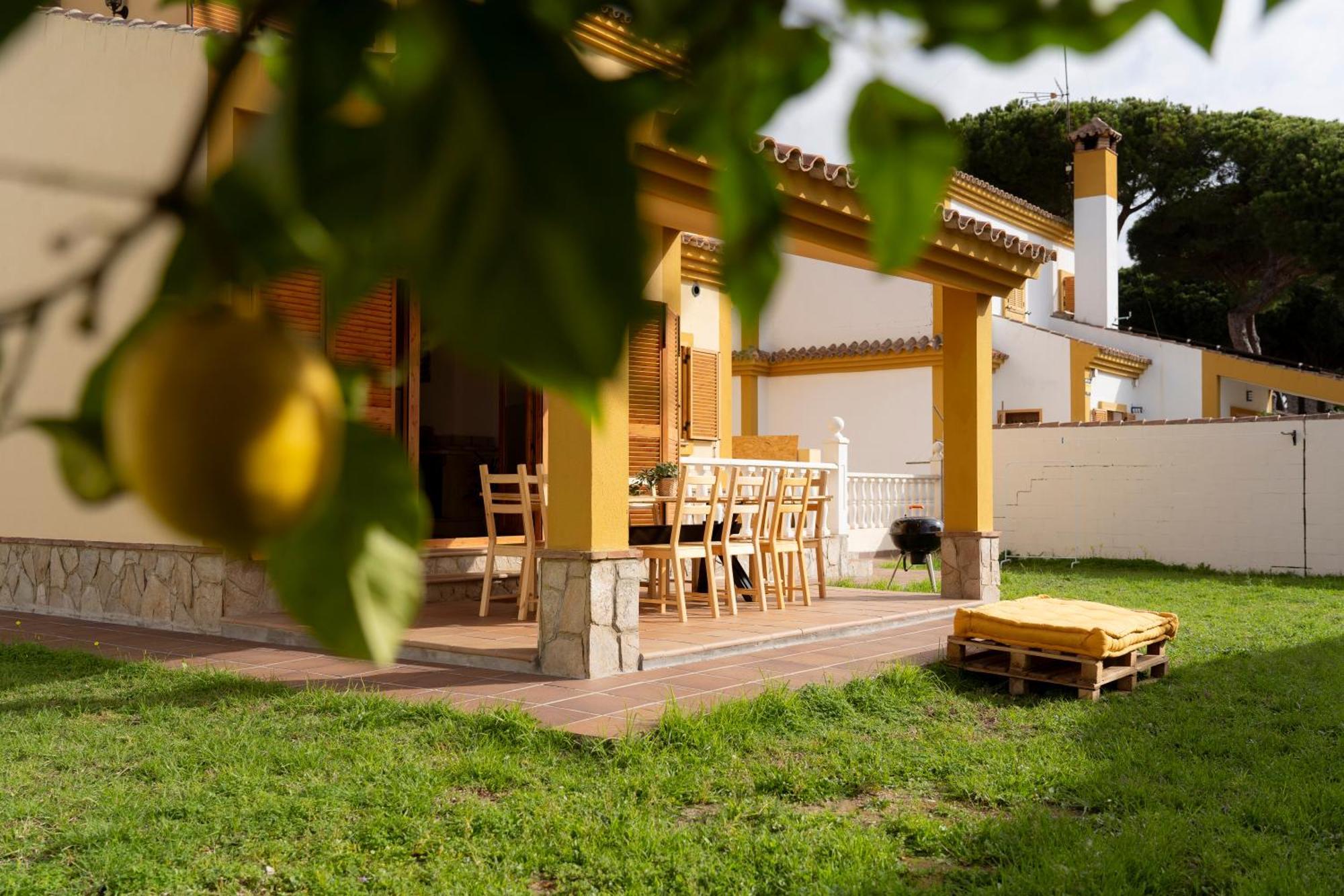 Namawa Surfhouse Hostel Chiclana de la Frontera Luaran gambar